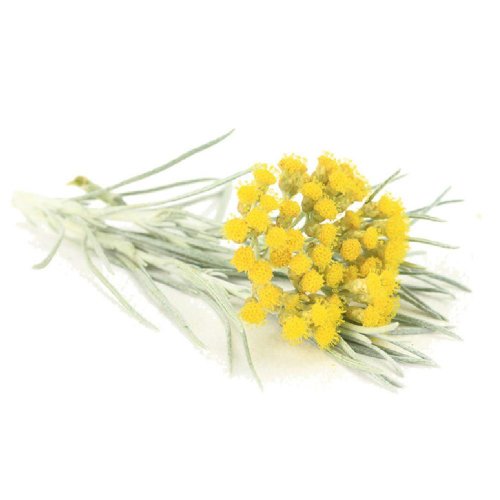 Гидролат Бессмертника  